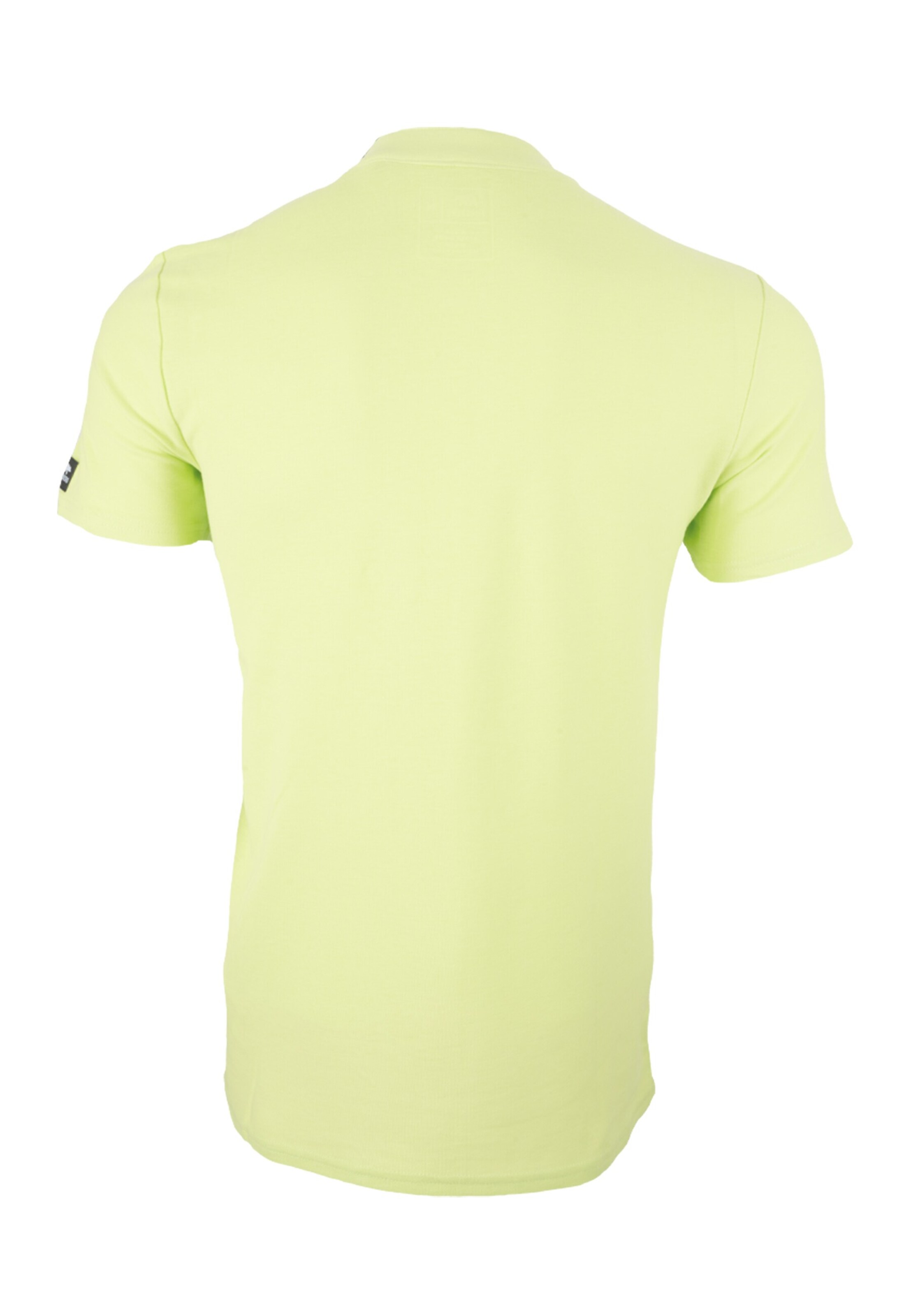 FORSBERG Shirt in Grün