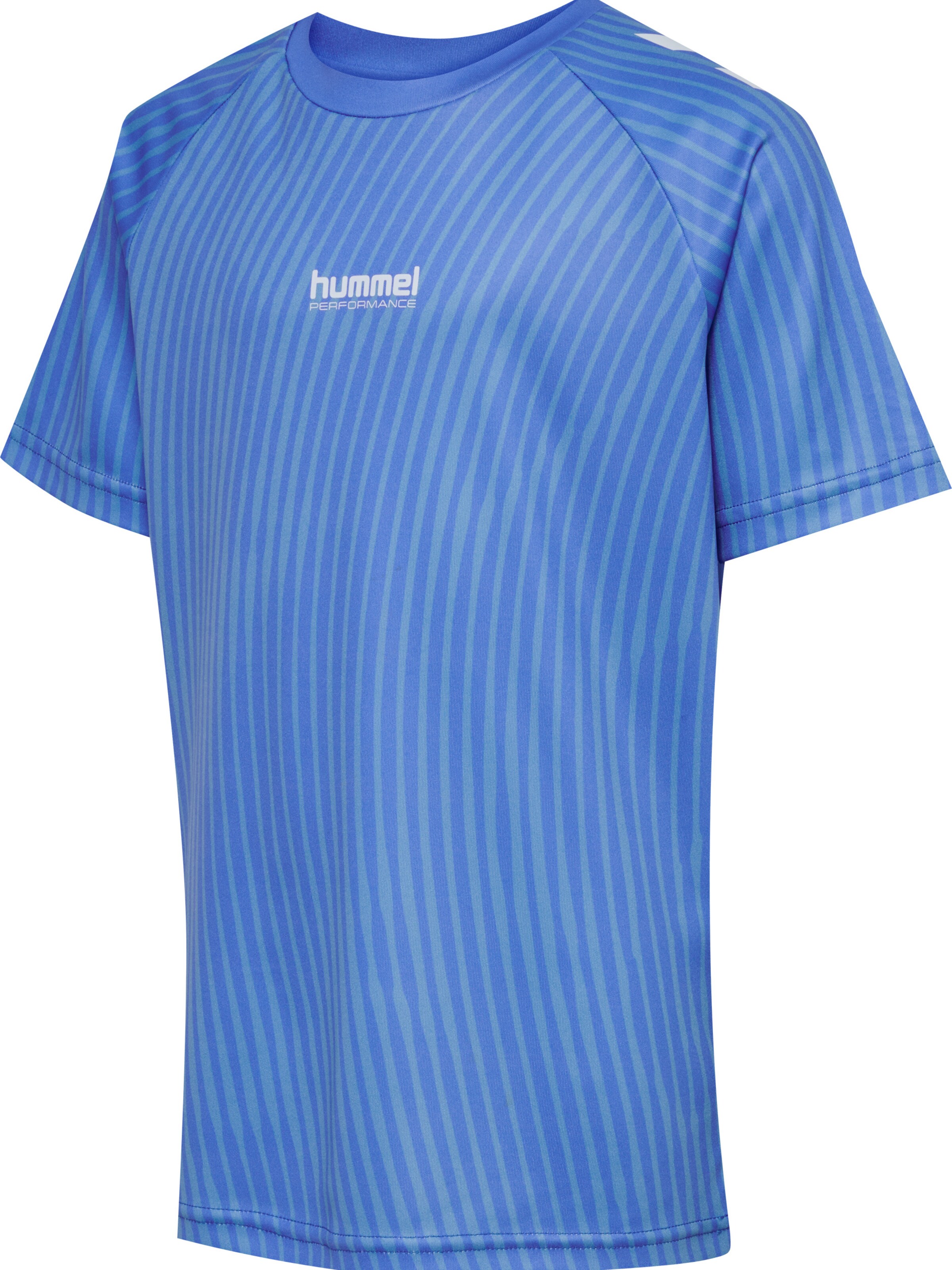 Hummel Functioneel shirt 'Goal' in Blauw