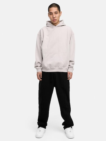 Daily Cotton Sweatshirt 'DCAUSTIN' in Grau