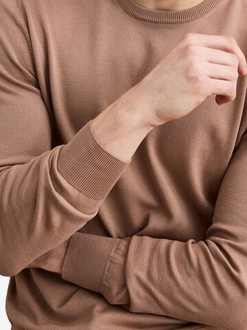 Il Lanificio Pullover‌‌ in Braun