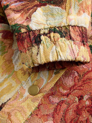 Giacca di mezza stagione di Next in colori misti