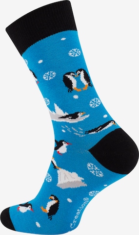 Vincent Creation Socks in Blue: front