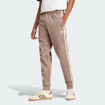 ADIDAS ORIGINALS Tapered Trousers in Brown: front