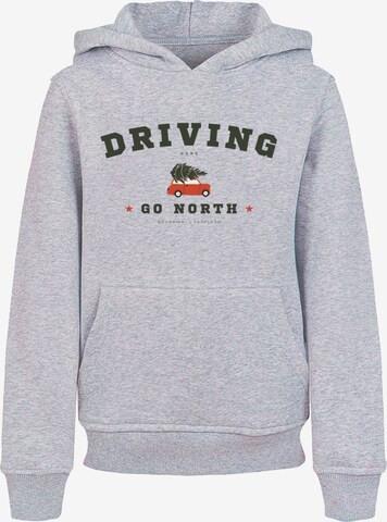 F4NT4STIC Sweatshirt in Grey: front