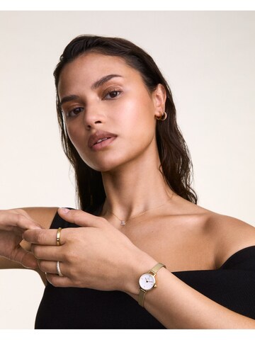 Daniel Wellington Analog watch in Gold
