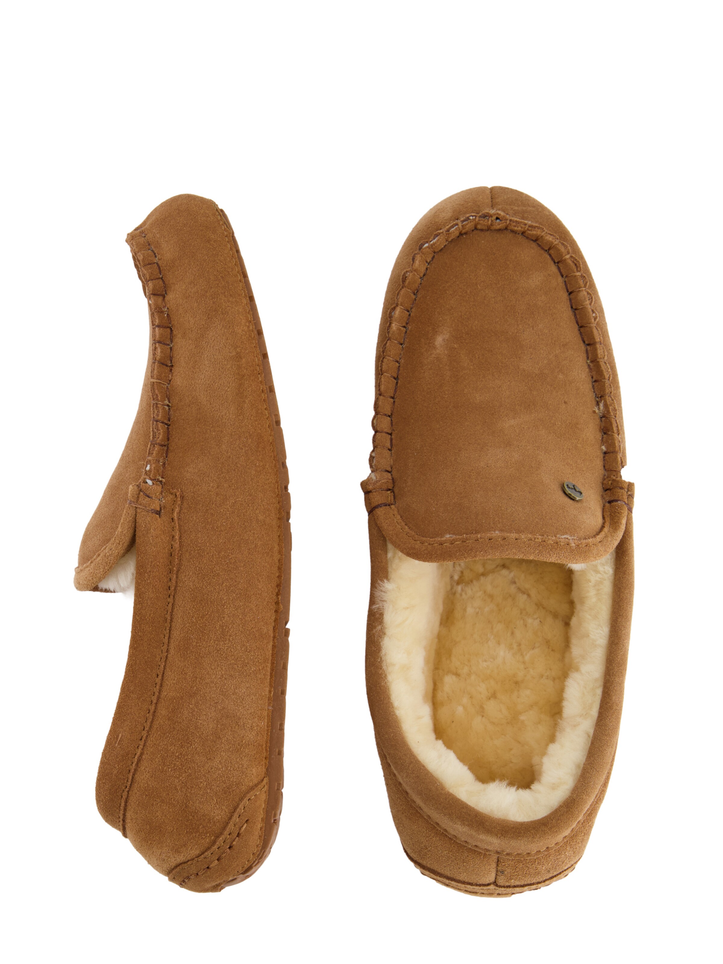 Pantoufle 'Earlwood' Warmbat en marron