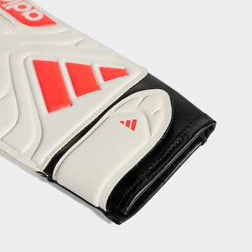 ADIDAS PERFORMANCE Torwarthandschuhe in Weiß