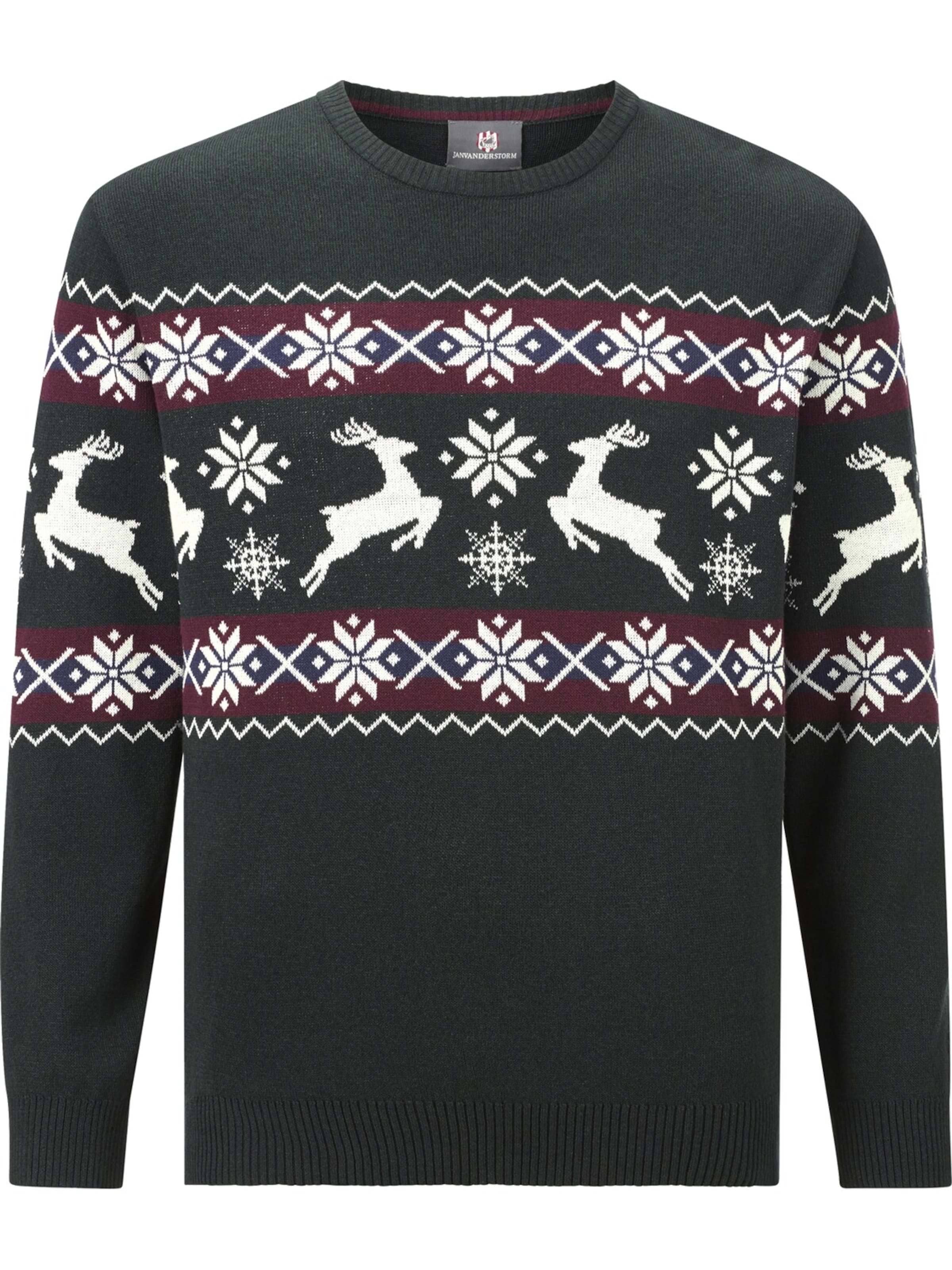 Jan Vanderstorm Pullover 'Tore' in Grün: Vorderseite