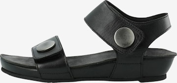 Ca'Shott Sandaalit ' CASAVA ' värissä musta: etupuoli