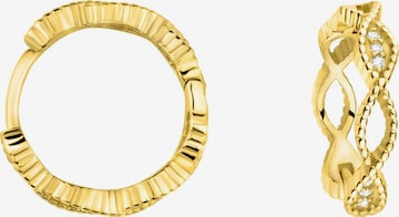 Sofia Milani Ohrringe in Gold: Vorderseite