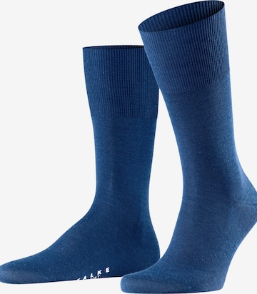 FALKE Socks 'Airport' in Blue: front