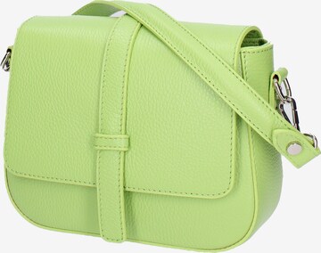 Roberta Rossi Crossbody Bag in Green