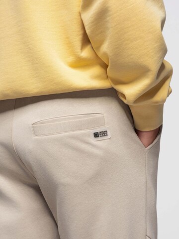 Ombre Tapered Pants in Beige