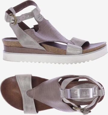 MJUS Sandals & High-Heeled Sandals in 40 in Grey: front