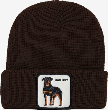 GOORIN Bros. Beanie in Brown: front