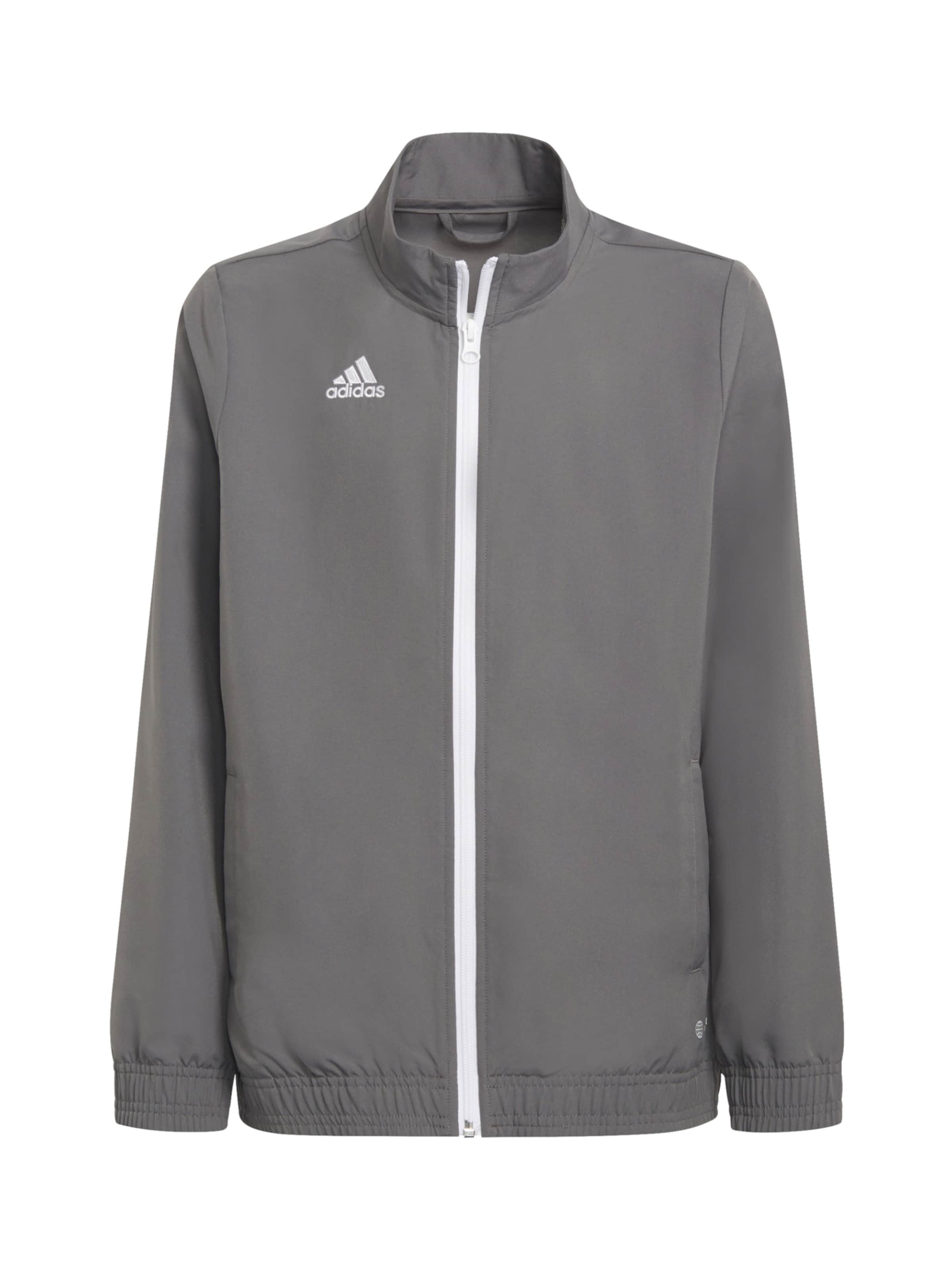 ADIDAS PERFORMANCE Sportovní bunda 'Entrada 22 Presentation' – šedá: přední strana