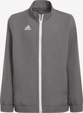 Veste de sport 'Entrada 22 Presentation' ADIDAS PERFORMANCE en gris : devant