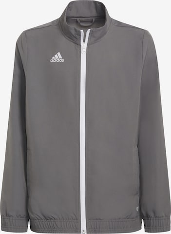 ADIDAS PERFORMANCE Athletic Jacket 'Entrada 22 Presentation' in Grey: front