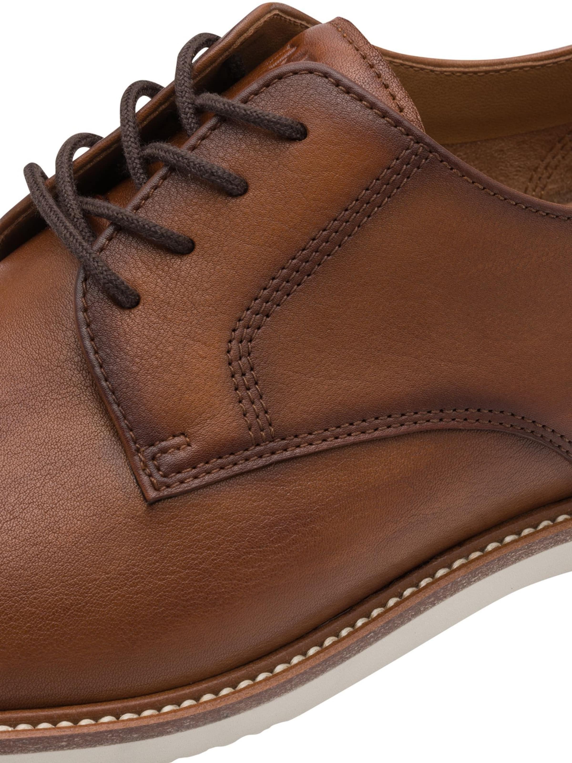 Tamaris Veterschoen in Bruin