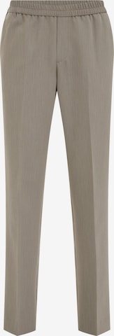 WE Fashionregular Hlače - siva boja: prednji dio