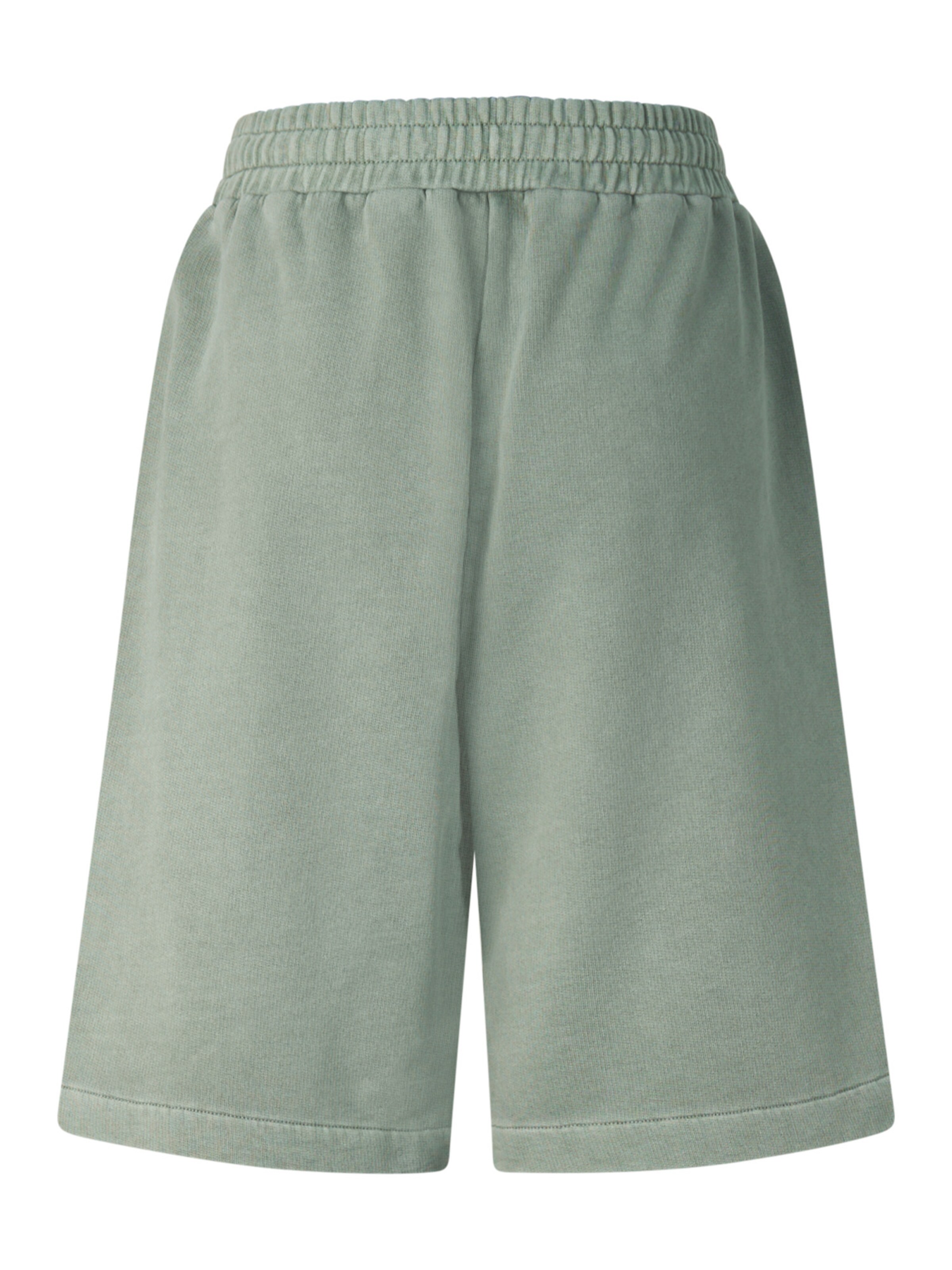 Bogner Fire + Ice Wide Leg Hose 'Luseph' in Grün