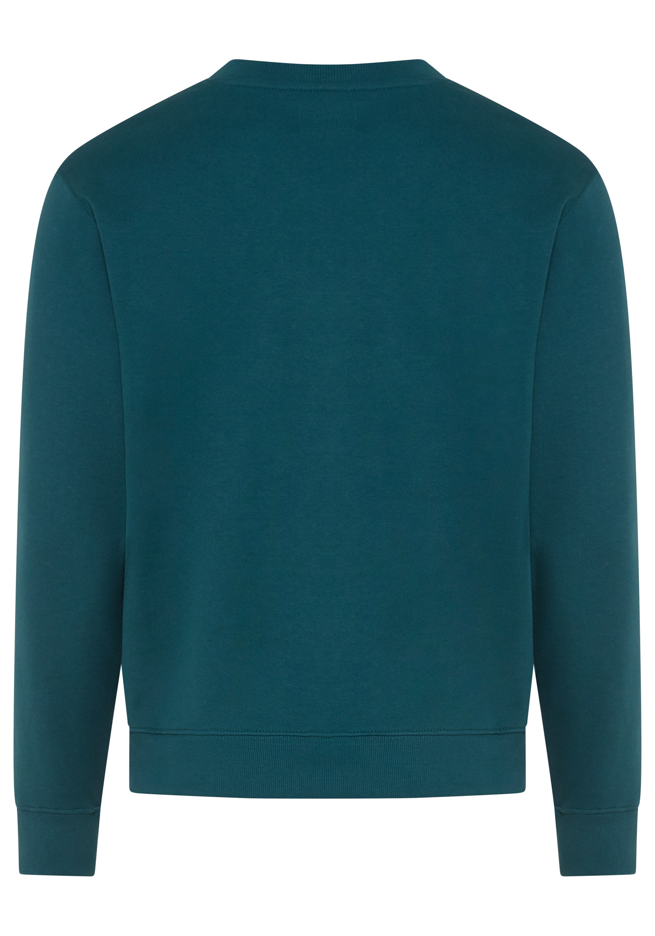 REPLAY Sweatshirt in Blue