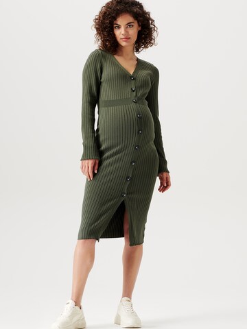 Supermom Dress 'Bryn' in Green: front