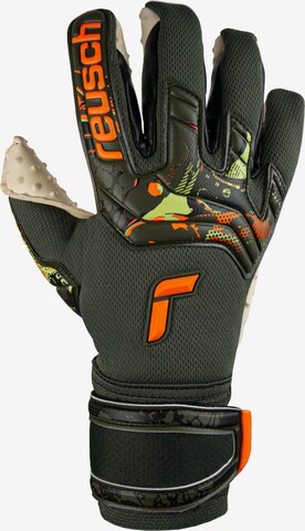 REUSCH Athletic Gloves 'Attrakt SpeedBump' in Green