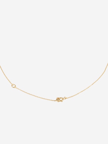 Michael Kors Necklace in Gold