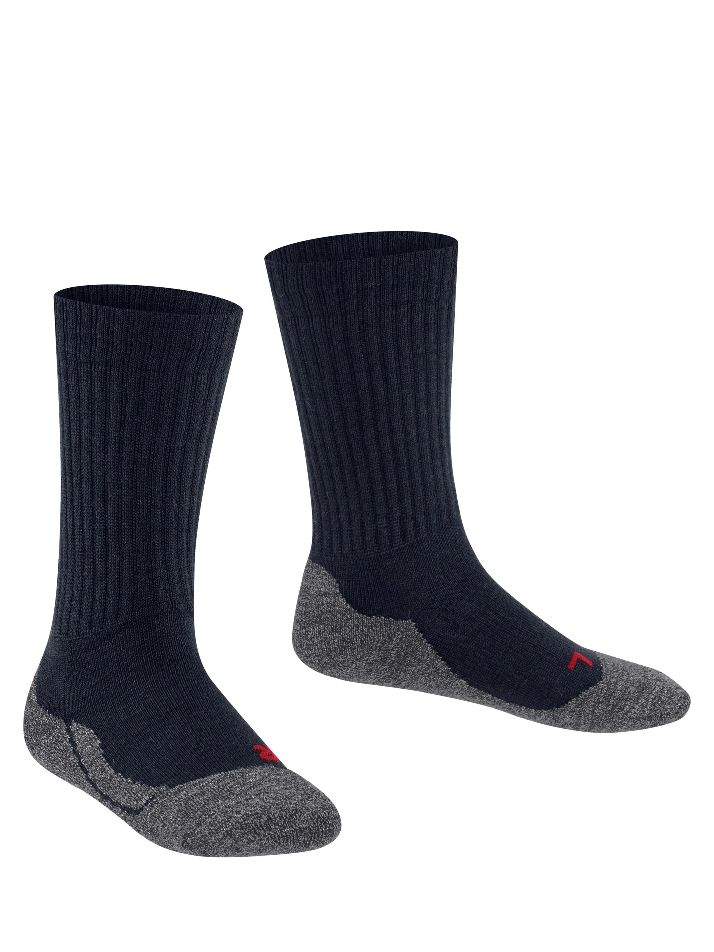 FALKE Socks 'Active Warm' in Blue