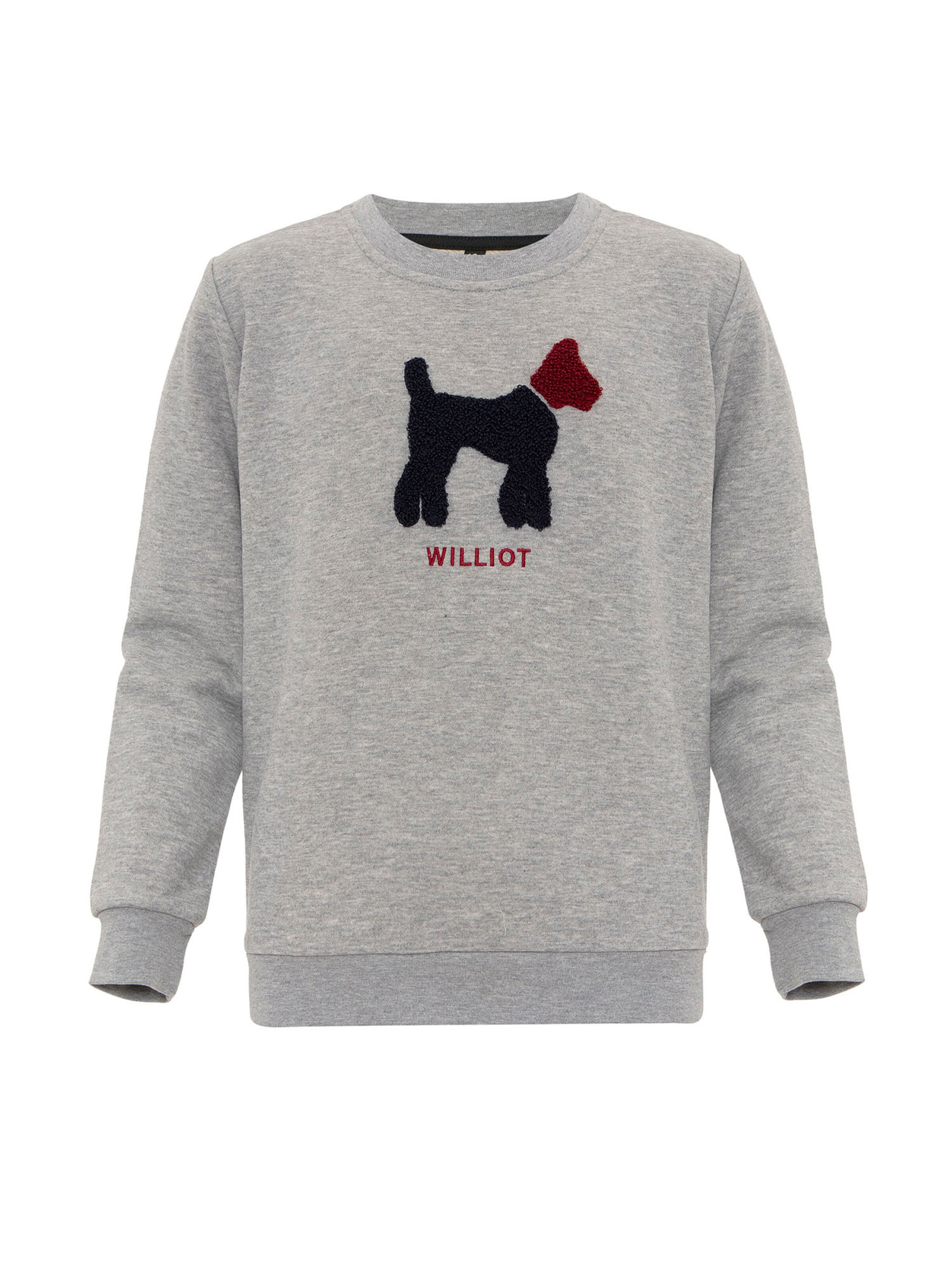 Williot Sweatshirt in Grey: front