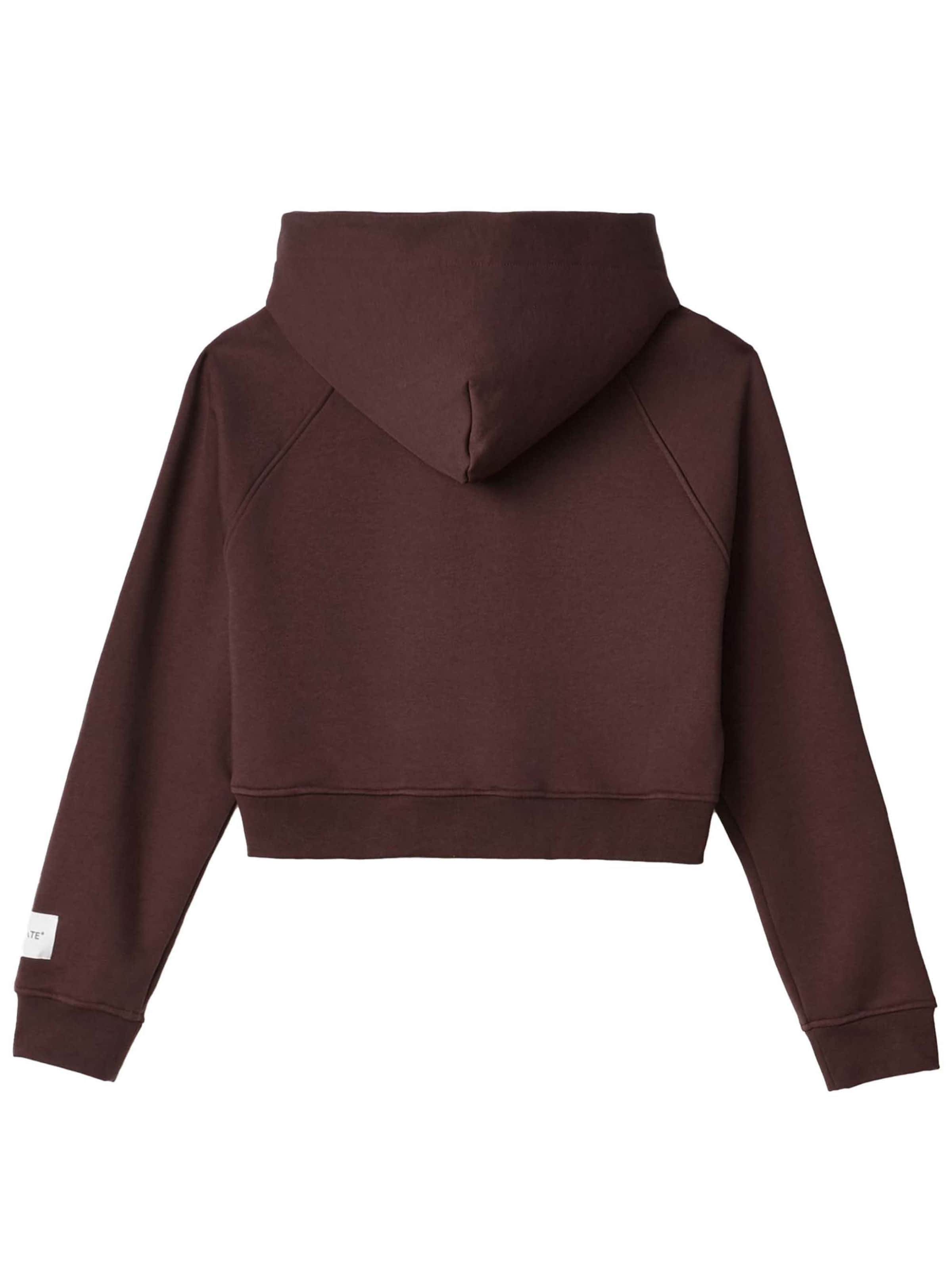 HINNOMINATE Sweatshirt in Brown