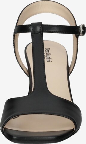 Nero Giardini Sandals in Black