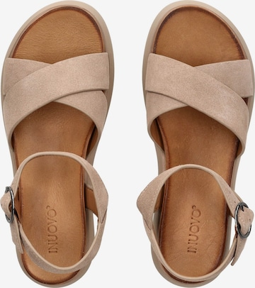 INUOVO Sandals in Dark Beige ABOUT YOU - Main Image