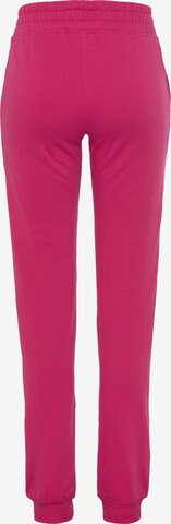 H.I.S Tapered Hose in Pink