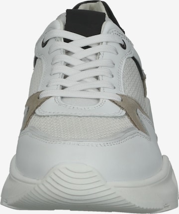 Sneaker bassa di BRAX in bianco