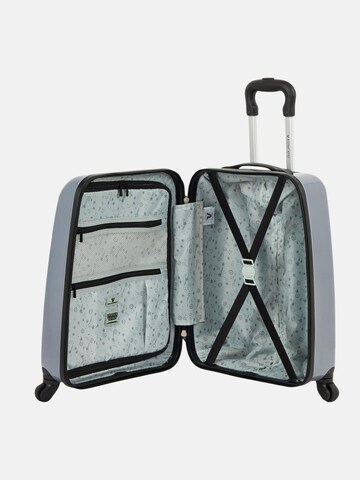 Roncato Trolley in Grijs