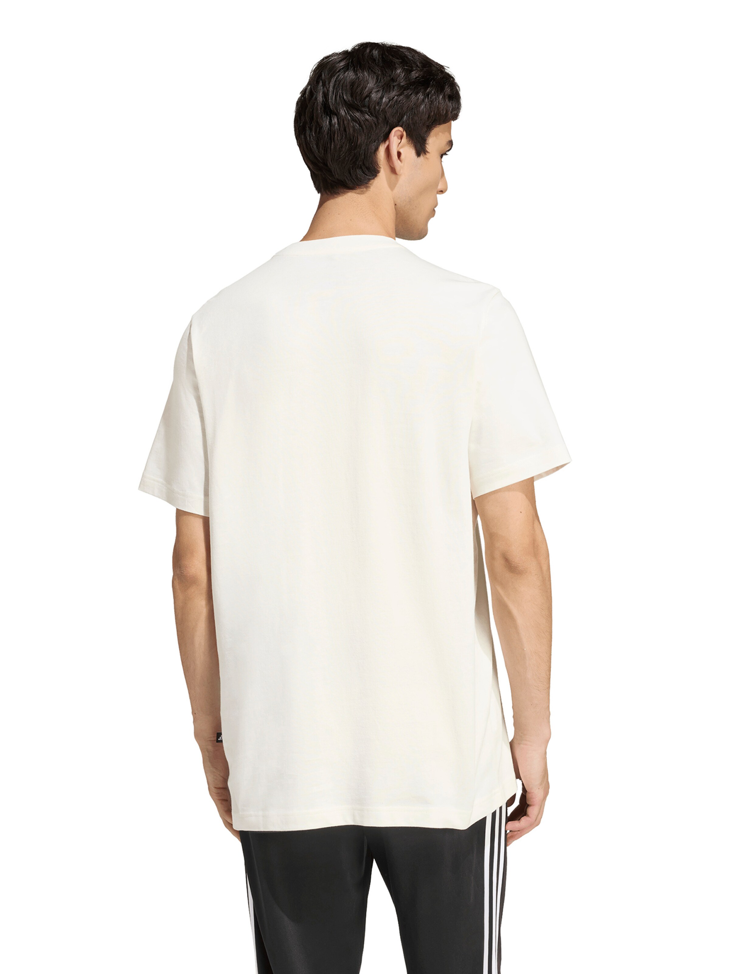 balta ADIDAS SPORTSWEAR Sportiniai marškinėliai 'STAD COLLEG'