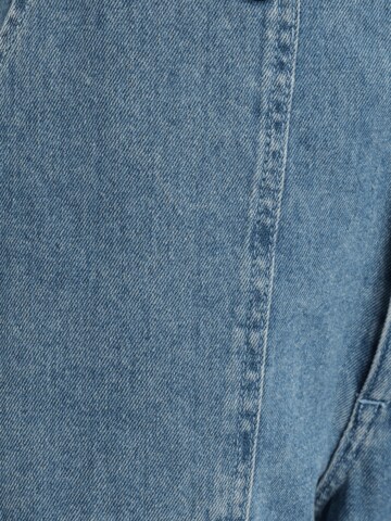 VANS Loosefit Jeans 'Union' i blå