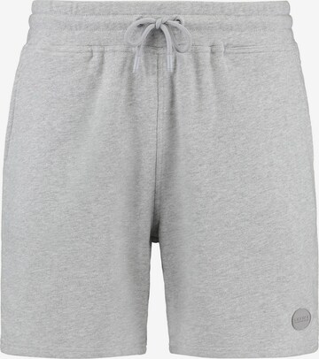 Pantalon 'Sem' Shiwi en gris : devant