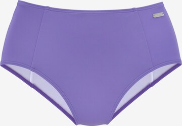 Bas de bikini sport VENICE BEACH en violet : devant
