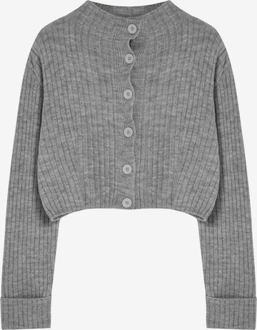 Trendyol Knit Cardigan in Grey: front
