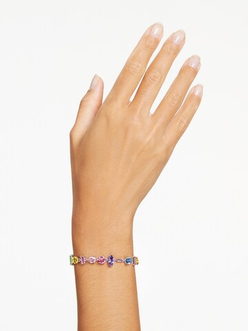 Brățară 'Gema' de la Swarovski pe mai multe culori: față