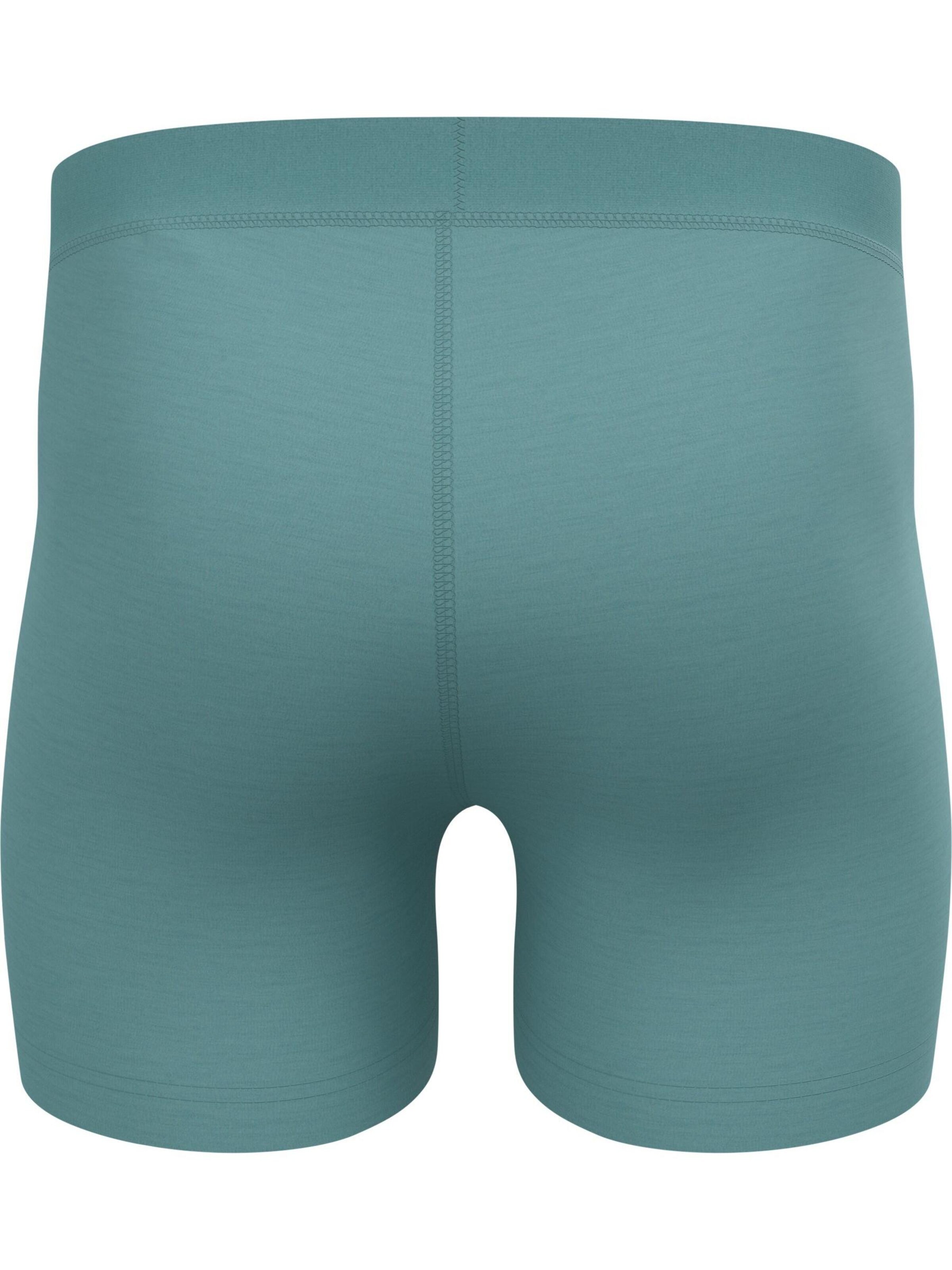 ODLO Sports underpants in Blue