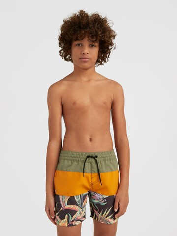 Shorts de bain O'NEILL en mélange de couleurs : devant