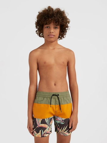 Shorts de bain O'NEILL en mélange de couleurs : devant