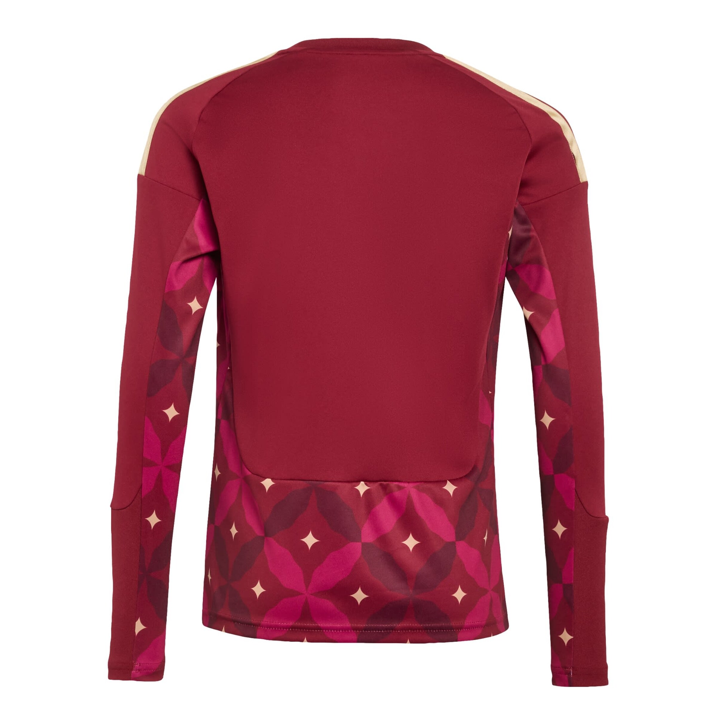 T-Shirt fonctionnel 'Italy 26 Home Goalkeeper Kids Long Sleeve' ADIDAS PERFORMANCE en rouge