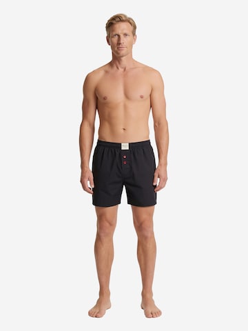 Boxers ' Combo ' Phil & Co. Berlin en bleu