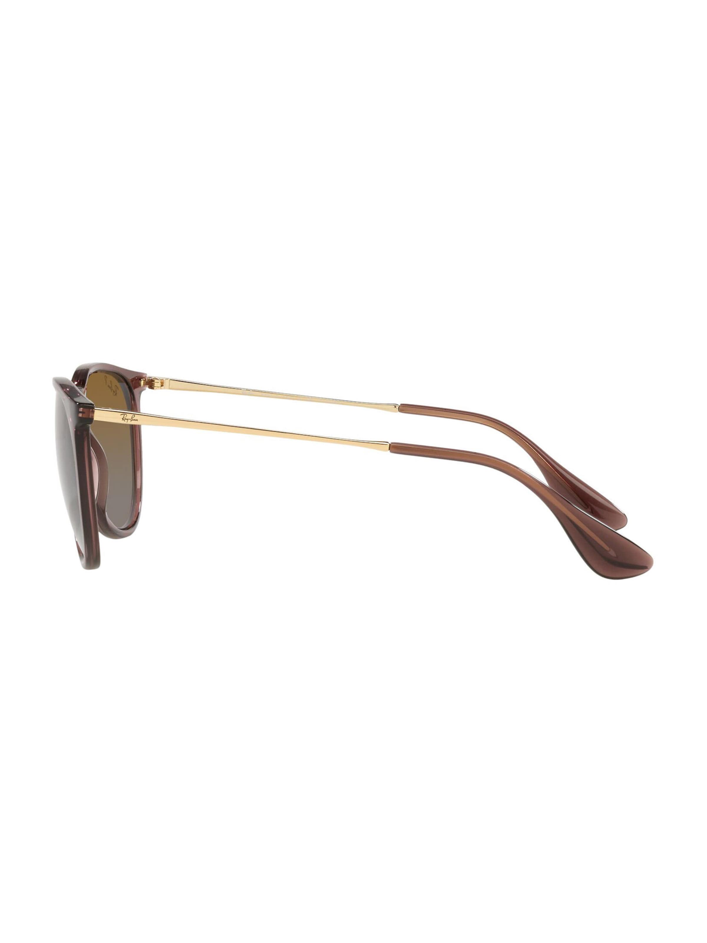 Ray-Ban Sunglasses 'Erika' in Brown