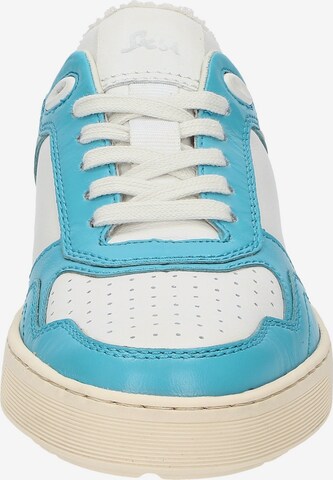 SIOUX Sneaker low 'Tedroso-DA-700' in Blau
